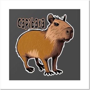 Capibara Posters and Art